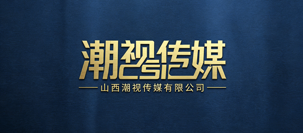 山西潮视传媒有限公司
